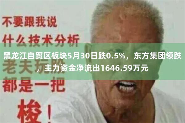 黑龙江自贸区板块5月30日跌0.5%，东方集团领跌，主力资金净流出1646.59万元