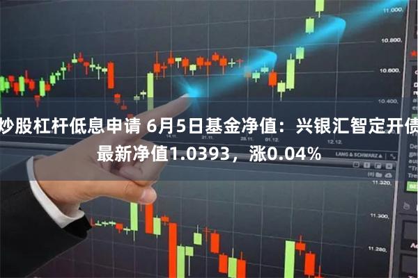 炒股杠杆低息申请 6月5日基金净值：兴银汇智定开债最新净值1.0393，涨0.04%