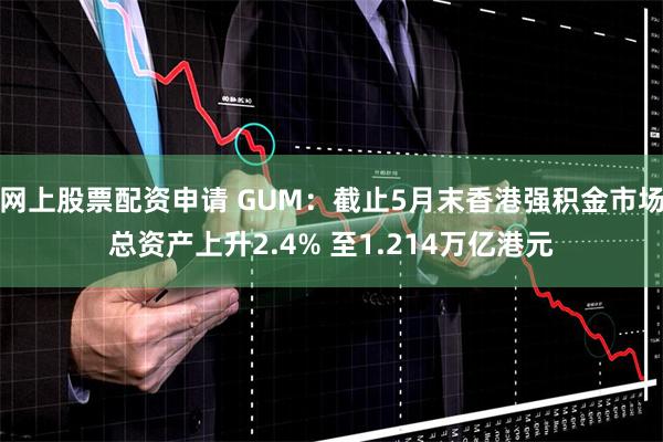 网上股票配资申请 GUM：截止5月末香港强积金市场总资产上升2.4% 至1.214万亿港元