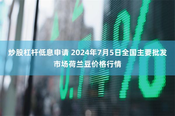 炒股杠杆低息申请 2024年7月5日全国主要批发市场荷兰豆价格行情