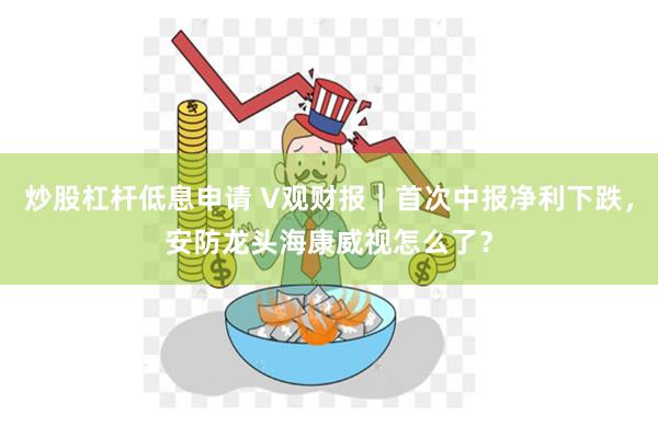 炒股杠杆低息申请 V观财报｜首次中报净利下跌，安防龙头海康威视怎么了？