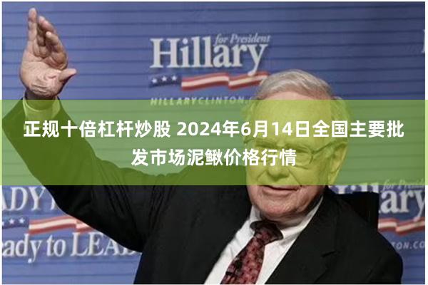 正规十倍杠杆炒股 2024年6月14日全国主要批发市场泥鳅价格行情