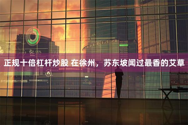 正规十倍杠杆炒股 在徐州，苏东坡闻过最香的艾草