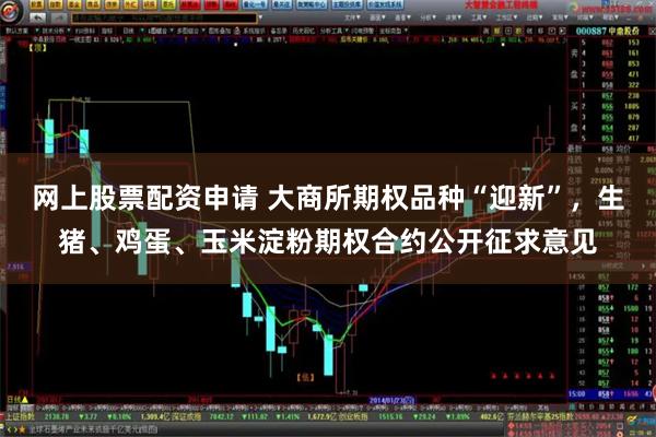 网上股票配资申请 大商所期权品种“迎新”，生猪、鸡蛋、玉米淀粉期权合约公开征求意见