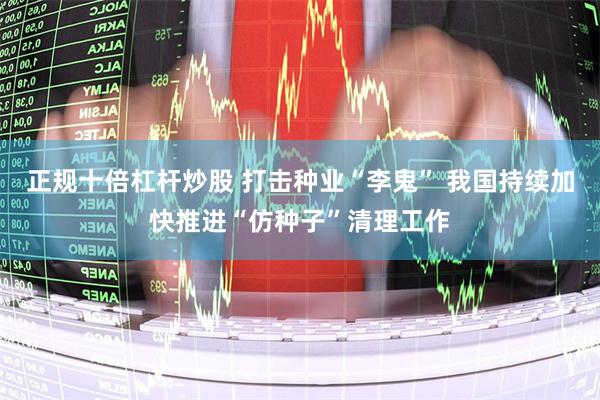 正规十倍杠杆炒股 打击种业“李鬼” 我国持续加快推进“仿种子”清理工作