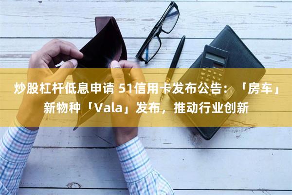 炒股杠杆低息申请 51信用卡发布公告：「房车」新物种「Vala」发布，推动行业创新