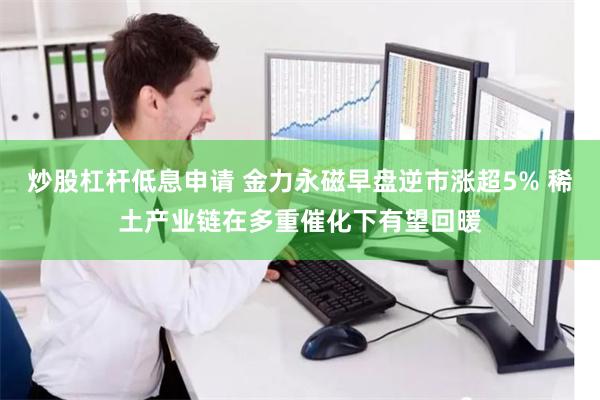 炒股杠杆低息申请 金力永磁早盘逆市涨超5% 稀土产业链在多重催化下有望回暖
