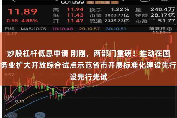 炒股杠杆低息申请 刚刚，两部门重磅！推动在国家服务业扩大开放综合试点示范省市开展标准化建设先行先试